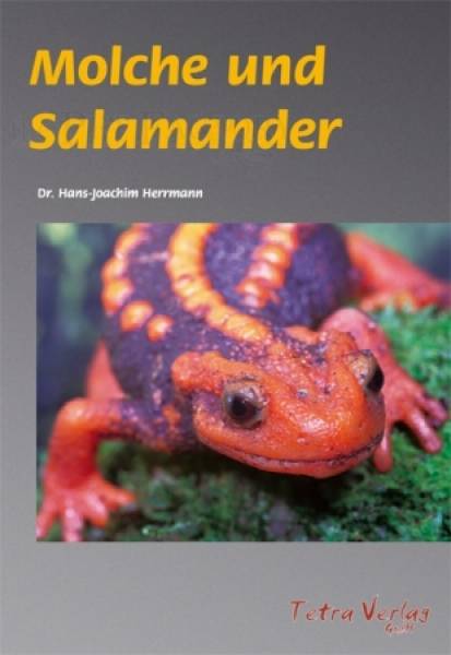 Molche und Salamander